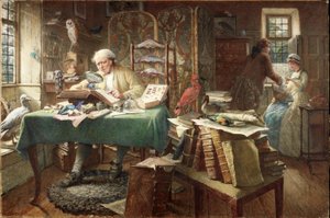 Grubs and Butterflies by Charles J. Staniland